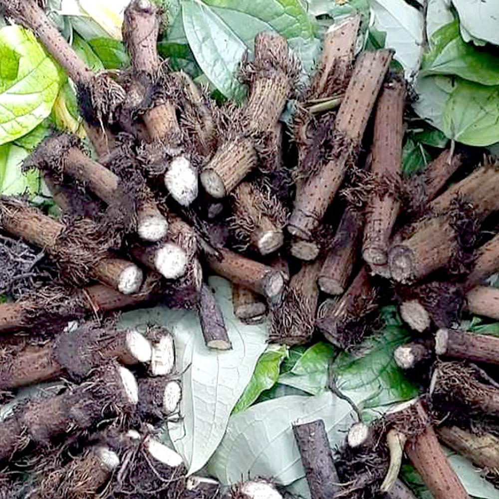 চুই ঝালের চিকন লতা (ডাল) – ৫০০ গ্রাম
